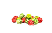 Load image into Gallery viewer, Fireside Indulgence - Tartan Plaid Basket Box