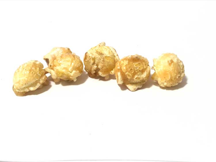 Churro Flavor Gourmet Popcorn